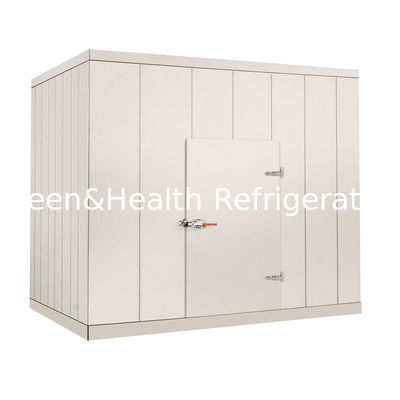 220V / promenade 380V commerciale dans une chambre plus froide pour les fruits de mer végétaux de viande