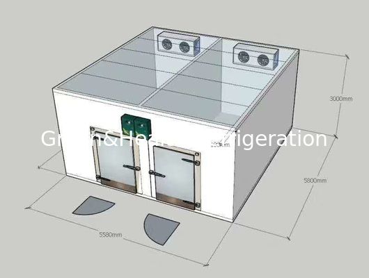Promenade dans les refroidisseurs combinés à double température de congélateur/chambre froide